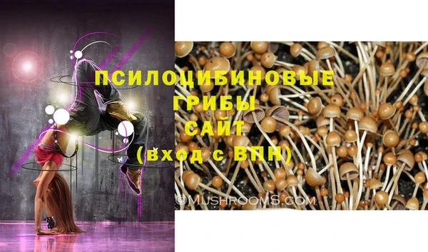 стаф Баксан