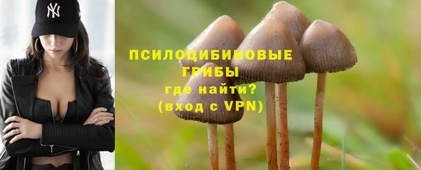 дживик Балахна