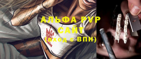 стаф Баксан