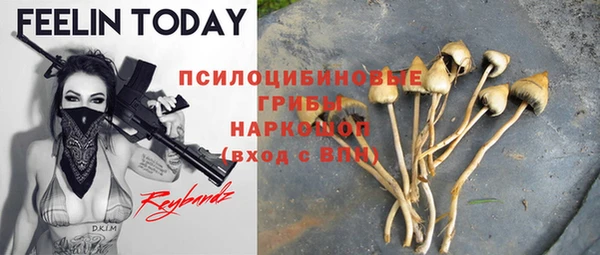 стаф Баксан