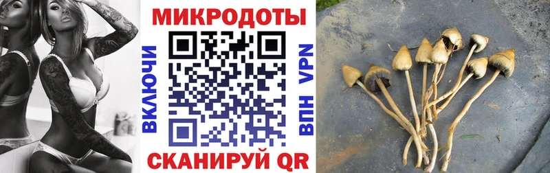 Псилоцибиновые грибы мицелий  Заречный 