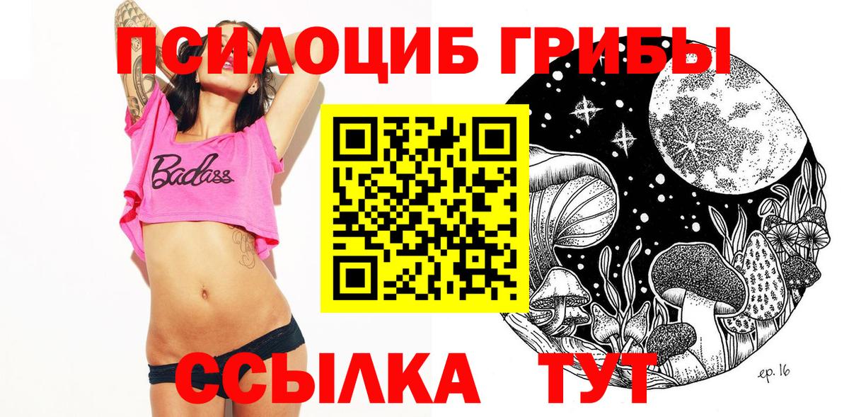 продажа наркотиков  Вход с VPN  Псилоцибиновые грибы Psilocybine cubensis  Заречный  Галлюциногенные грибы мухоморы 